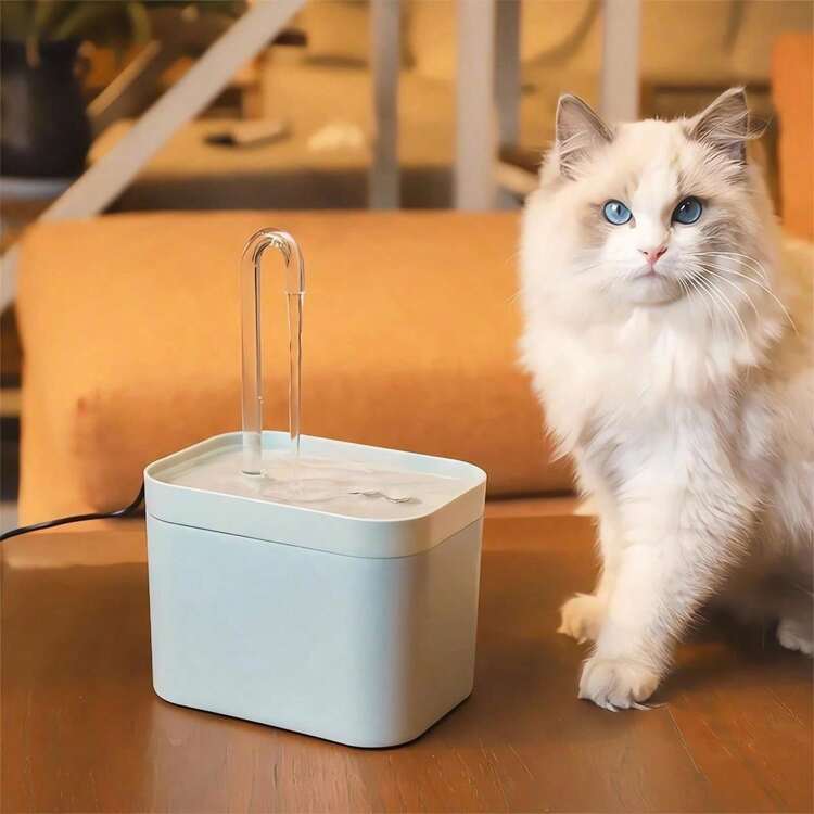 Cat Water Fountain Dispenser